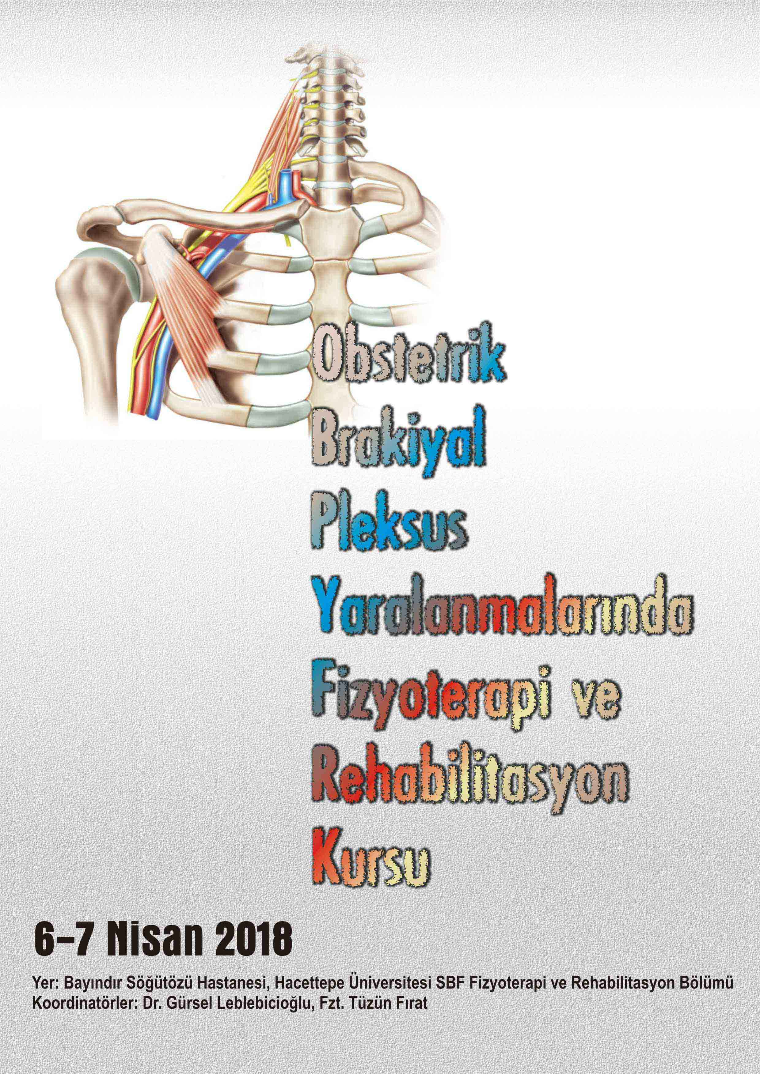 Obstetrik Brakiyal Pleksus Yaralanmalarında Fizyoterapi ve Rehabilitasyon Kursu